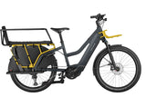 Riese & Müller Multicharger Mixte GT Family Ebike Riese & Müller 